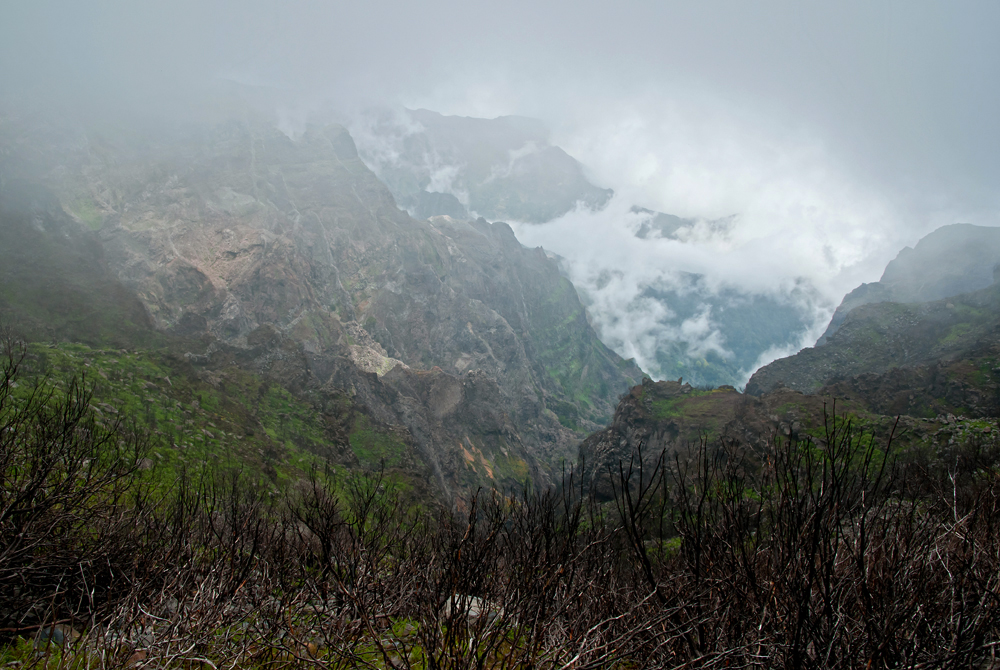 021_Madera_w drodze na Pico do Arieiro.jpg
